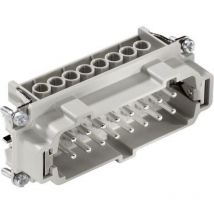 LAPP 10194000 Insert mâle EPIC H-BE 16 Nombre total de pôles 16 + PE 1 pc(s)