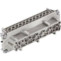 10197000 Inserto femmina epic h-be 24 Tot poli 24 + pe 1 pz. - Lapp