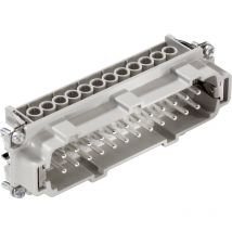LAPP 10196000 Inserto maschio EPIC H-BE 24 Tot poli 24 + PE 1 pz.