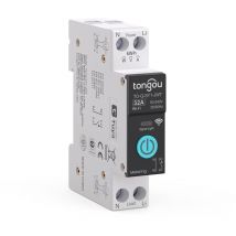 Intelligenter 1p+n-wlan-schalter Zum Selbstbauen, Kompatibel Mit Alexa Und Google Assistant, 32a, Mit Energiemonitor, Smart Life/tuya-fernbedienung 