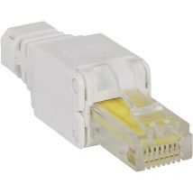 790482 Fiche modulaire RJ45 sans outil fiche modulaire RJ45 pas besoin dune pince à sertir 790482 - Intellinet