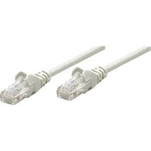 Intellinet - 318976 Rj45 Netzwerkkabel, Patchkabel Cat 5e U/utp 2.00 M Grau 1 St.