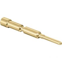 61.004.11 Broche de contact 1 pc(s) Q728972 - Intercontec