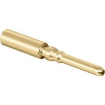 61.010.11 Broche de contact 1 pc(s) Q728742 - Intercontec