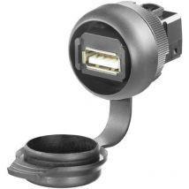 Connettore innesto spina usb FrontCom Micro ie-fcm-usb-a 1018840000-1 Weidmüller Contenuto: 1 pz.