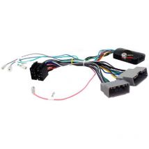 Adnauto - Interface Commande au volant dgc compatible avec Dodge ap06 Centrale seule