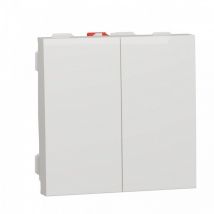 Interrupteur bipolaire schneider NU321118 2 modules