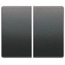 BJC - Interrupteur à clé double ou interrupteur anthracite cosso Mega 22709-AC