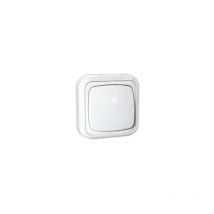 Interrupteur de surface 10A/250V Electro Dh 36.480/I, couleur blanc, 84305555211141497