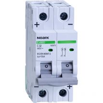 Noark - Interrupteur disjoncteur cc (courant continu) 20A