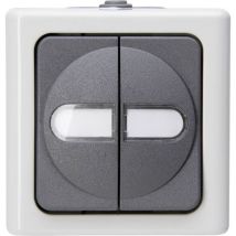 Serienschalter ap-feuchtraum bleue electric gris 10A, 250V 5605.5600.3 - Kopp