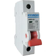 Interrupteur sectionneur 1P 63A