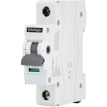 Schelinger - Interrupteur sectionneur 1P 63A - Rail TH35 - Pouvoir de coupure 4kV - IP20