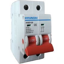 Interrupteur sectionneur 2P 100A 2 module