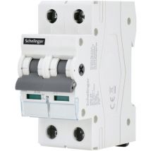 Schelinger - Interrupteur-sectionneur 2P 63A - Rail TH35 - IP20 - Pouvoir de coupure 4kV - Tension 500V