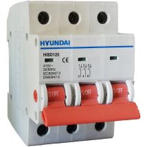 Interrupteur sectionneur 3P 63A