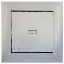 Interruptor pulsador luminoso 250V Alum