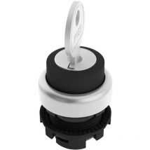 E21SC2DVA19AA E21SC2DVA19AA Interruttore a chiave Nero 1 x 90 ° 1 pz. - Pizzato Elettrica