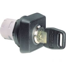 Interruttore a chiave Nero 1 x 90 ° Rafi Rafi x 16 1.30076.001 1 pz.