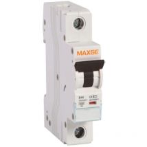 Interruttore Magnetotermico Industriale 1P 10kA 10-63A Curva c Maxge 40 a