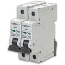 Interruttore magnetotermico 40A 1P curva c 220V 1 Modulo Guida Din 2 pezzi