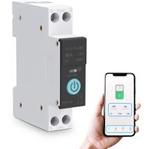 Interruttore automatico wifi intelligente Interruttore automatico Controllo remoto del telefono cellulare 3 modalità di temporizzazione (40A)