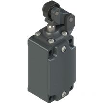 Interruttore Di Posizione A Leva Con Rotelle - PIZZATO FD 502-M2