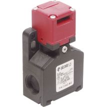 Fw 3392-M2 fw 3392-M2 Interruttore di sicurezza 250 v/ac 6 a attuatore separato Momentaneo IP67 1 pz. - Pizzato Elettrica