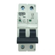 Interruttore Magnetotermico 2 poli 415V 63A C32 JVM9-63
