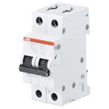 Interruttore magnetotermico ABB 1P+N 20A 6KA c S201NA 2M S531788