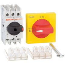 Lovato Catalogo Componenti Elettrici - Interruttore sezionatore a 3 poli con asta e maniglia 63A Lovato GA063SAK30063