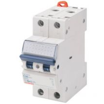 Int.Magnet.Comp.1P+N C32 4,5Ka 2M ( Gewiss cod. GW92131 )