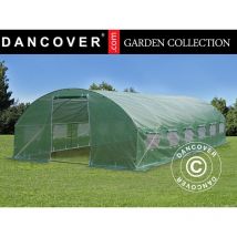 Dancover - Invernadero túnel 4x8x2m, 32m², Verde