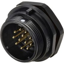 SP2112 / p 12 Rundstecker Stecker, Einbau Gesamtpolzahl: 12 Serie (Rundsteckverbinder): SP21 - Weipu