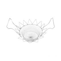 Panier a salade IPA91