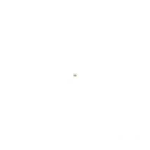 Mumu - Irrigatore da giardino, Irrigatore da prato 4 pezzi, Irrigatore automatico rotante a 360°, Irrigatore da prato a settore regolabile