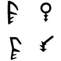 Virutex - Joint En Caoutchouc p.v.c Marron Pvc- 9 75Mts F0-(G-C)