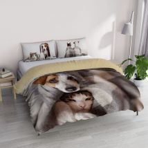 Goodnight" Parure Copripiumino Stampa Digitale, Microfibra, Peggy, Matrimoniale - Italian Bed Linen