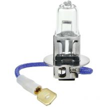 019353 Ampoule halogène H3 55 w 12 v C018922 - IWH