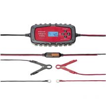 IWH 075900 075900 Chargeur automatique 6 V, 12 V 2 A, 4 A 2 A, 4 A W097412