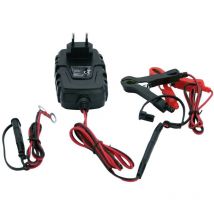 75905 Caricatore automatico 6 v, 12 v 1 a 1 a - IWH