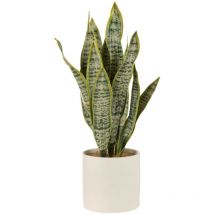 Pianta sansevieria + vaso, verde, extra large, casa, decorazioni casa - J-line