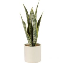 J-line - pianta sansevieria + vaso, verde, grande, casa, decorazioni casa