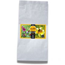 Jachère apicole 100 m2 semis de printemps
