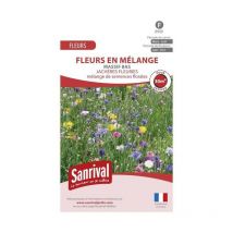 Jachère fleurie Massif Bas
