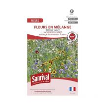 Jachère Fleurie pour massif haut