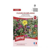 Jachère fleurie pour oiseaux