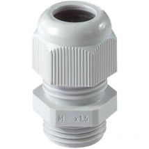 Kabelverschraubung M25x1,5 ral 7035 lichtgrau, SW29/29