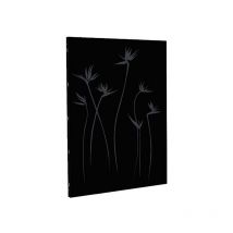 Plaque de Protection Murale DIXNEUF Paradisio Pour Poêles et Cheminées 81x120cm Noire - 027.10758.82N3