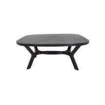 Table de Jardin IDEA Antibe Tulip 165x95cm Plastique Anthracite Bords arrondis